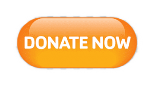 donate-button-white-text